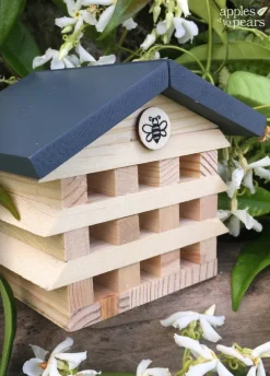 Apples To Pears Gift In A Tin Build A Bee Hotel