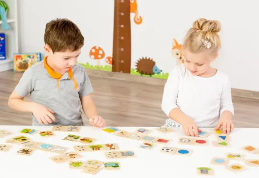 Beleduc Cognito Wooden Educational Shapes Puzzle