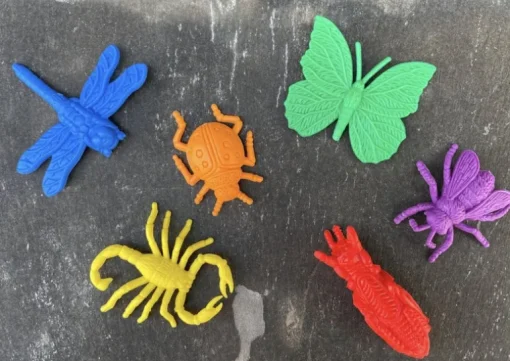 Bug and Magnifier Party Bag