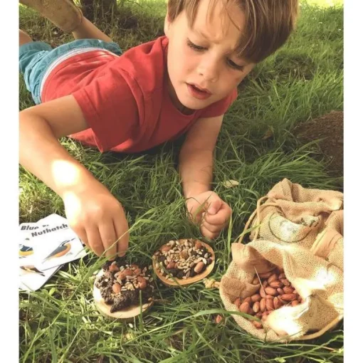 Den Kit Bird Feeding Pizza Kit