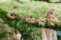 Den Kit Bird Feeding Pizza Kit