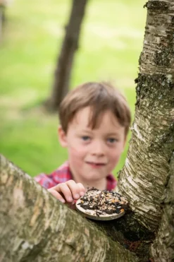 Den Kit Bird Feeding Pizza Kit