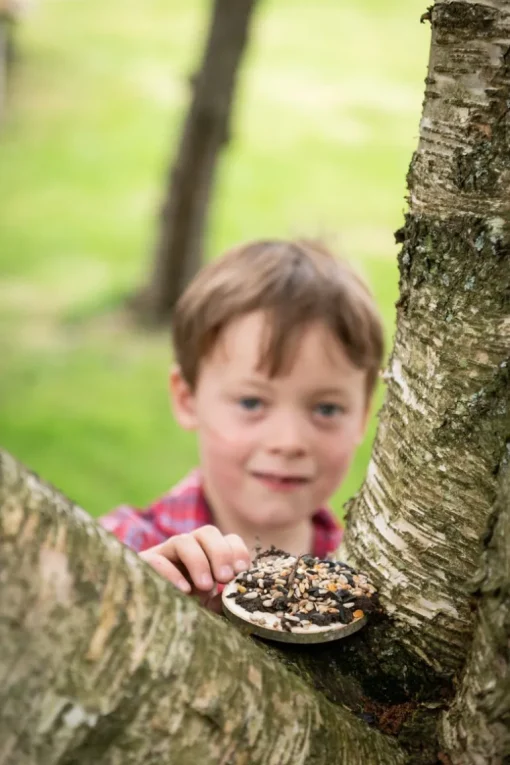 Den Kit Bird Feeding Pizza Kit