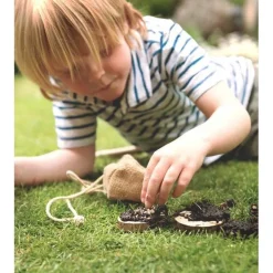 Den Kit Mini Bird Feeding Pizza Kit