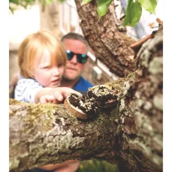 Den Kit Mini Bird Feeding Pizza Kit