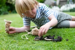 Den Kit Mini Bird Feeding Pizza Kit