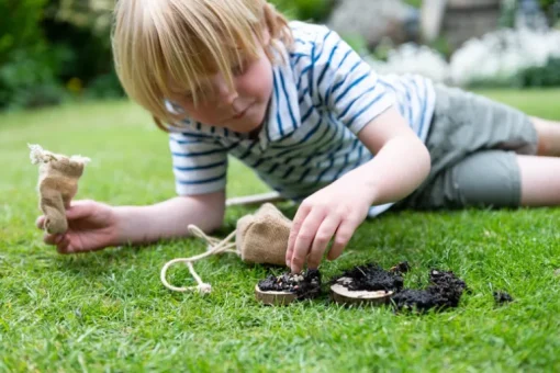 Den Kit Mini Bird Feeding Pizza Kit