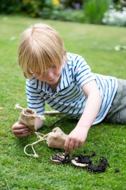Den Kit Mini Bird Feeding Pizza Kit