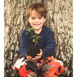 Den Kit Plant A Tree Kit