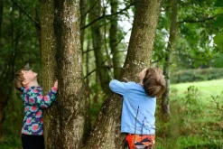 Den Kit Plant A Tree Kit