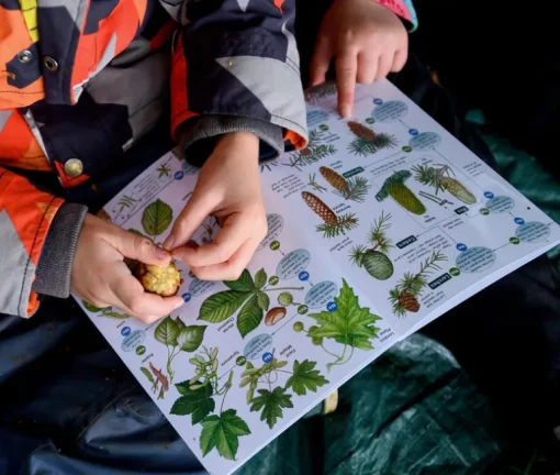 Den Kit Plant A Tree Kit