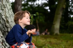 Den Kit Plant A Tree Kit
