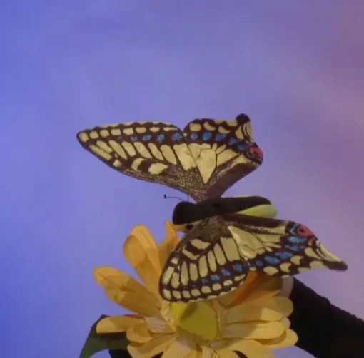 Folkmanis Large Swallowtail Butterfly Hand Puppet