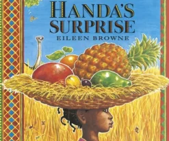 Handa's Surprise Board Book