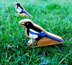 Lanka Kade Magpie