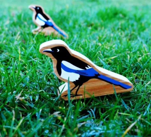 Lanka Kade Magpie