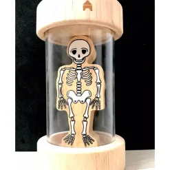 Lanka Kade Skeleton