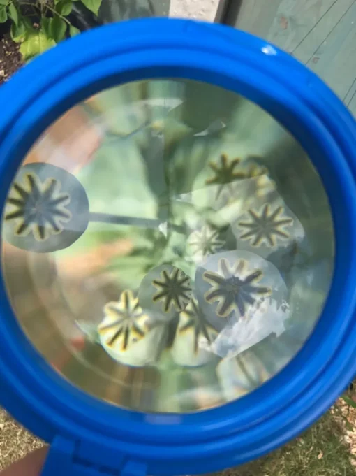 Learning Resources Early Science Explorer's Set