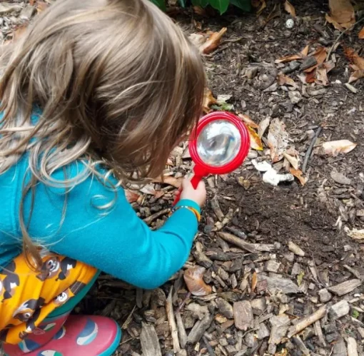 Learning Resources Early Science Explorer's Set