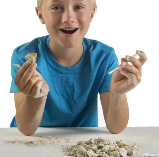 National Geographic Shark Tooth Dig Kit