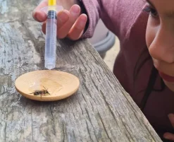 Nature Nurture Emergency Bee Rescue Kit