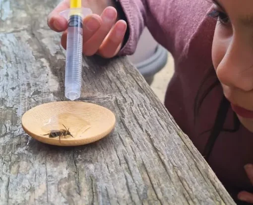 Nature Nurture Emergency Bee Rescue Kit