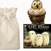 Owl Babies Story Sack with Aurora Owl and Babies