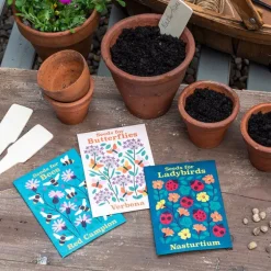 Pack of flower seeds - Nature Collection