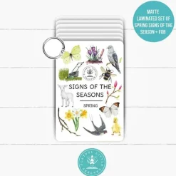 PLR Flash Cards, Spring Signs - Explorer