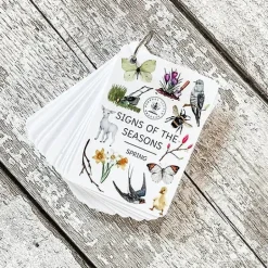 PLR Flash Cards, Spring Signs - Explorer
