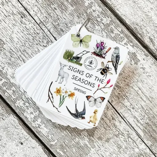 PLR Flash Cards, Spring Signs - Explorer