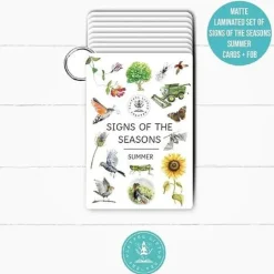 PLR Flash Cards, Summer Signs - Explorer