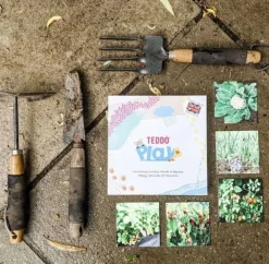 Teddo Play - Where Our Food Grows Card Set