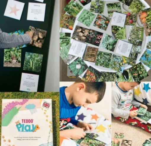 Teddo Play - Where Our Food Grows Card Set
