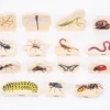 TickiT Mini beast Blocks (15)