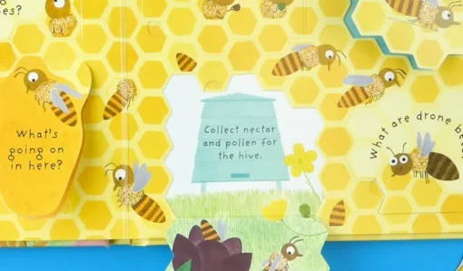 Why do we need Bees? First Questions and Answers Board Book