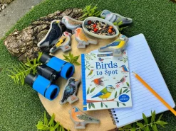 Yellow Door Birds Sensory Play Stones