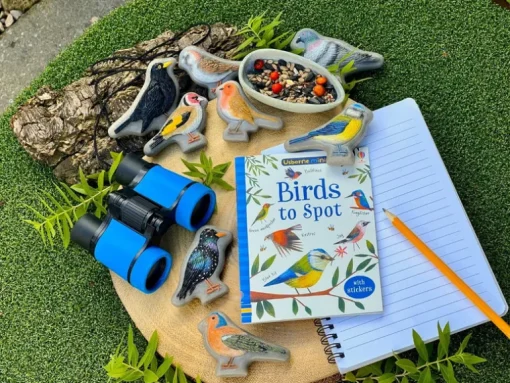 Yellow Door Birds Sensory Play Stones