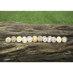 Yellow Door Emotion Stones