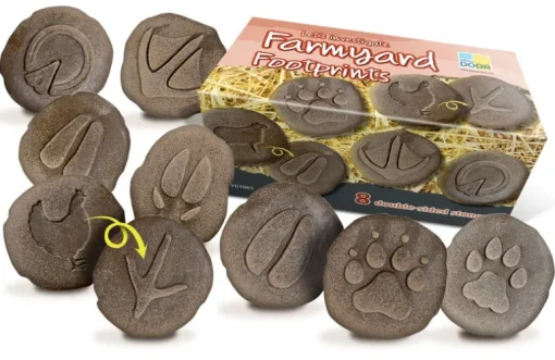 Yellow Door Farmyard Footprint Stones