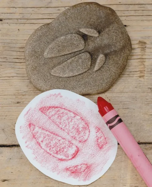 Yellow Door Farmyard Footprint Stones