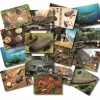 Yellow Door Prehistoric Teeth Explore and Discover Activity Cards (16)