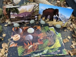 Yellow Door Prehistoric Teeth Explore and Discover Activity Cards (16)