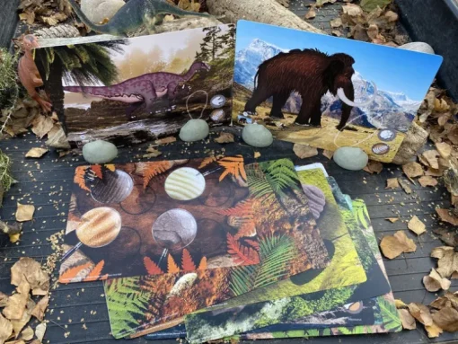 Yellow Door Prehistoric Teeth Explore and Discover Activity Cards (16)