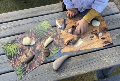 Yellow Door Prehistoric Teeth Explore and Discover Activity Cards (16)
